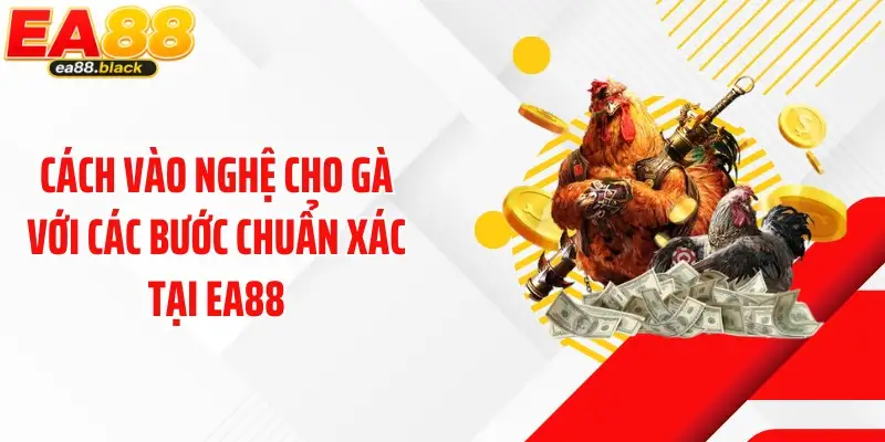 Cách Vào Nghệ Cho Gà Với Các Bước Chuẩn Xác Tại EA88